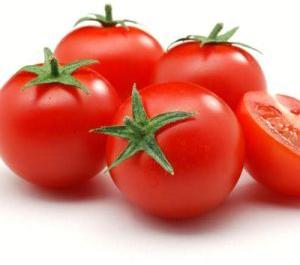 Fresh Organic Tomato