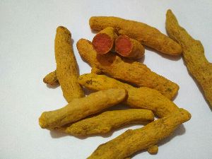 Turmeric Finger