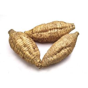 Fresh Arrowroot