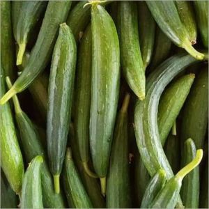 Fresh Ridge Gourd