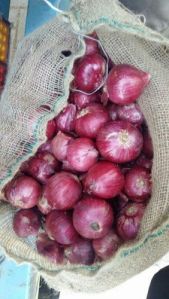 Fresh Red Onion