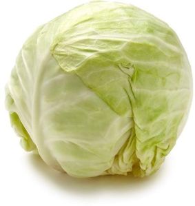 Fresh Cabbage