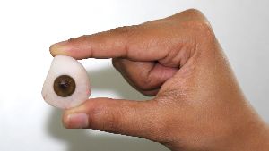 artificial eye