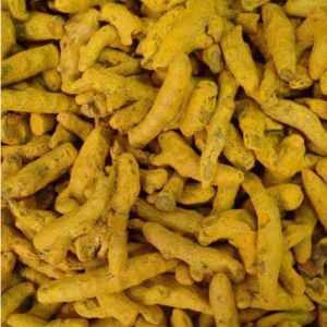 dried turmeric finger