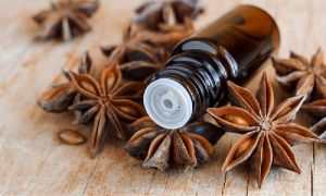 Anise Oil