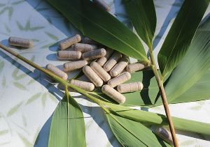 bamboo extract