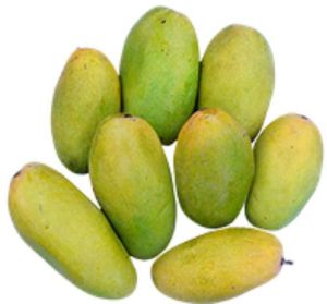 Fresh Dasheri Mango