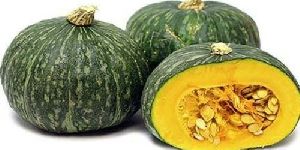 Fresh Green Pumpkin