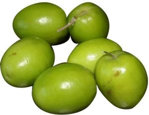 Fresh Jujube