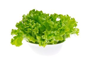 Fresh Lettuce Leaves