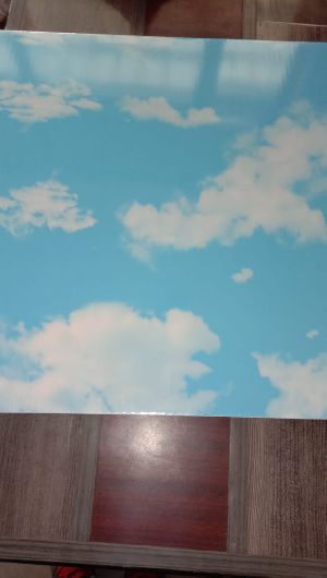 PVC Ceiling Tile