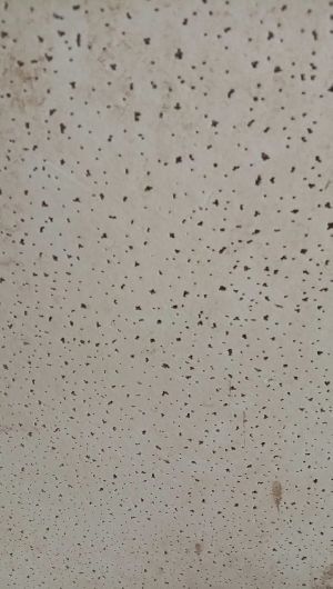 Mineral Fiber Ceiling Tile