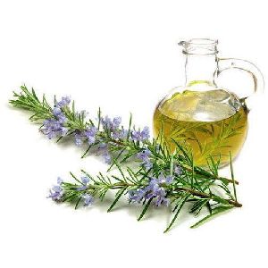 Rosemary Oil