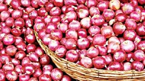 Fresh Red Small Onion