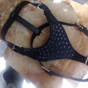 spiked dog harness