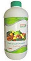 Organic Plant Feed for all Vegetables