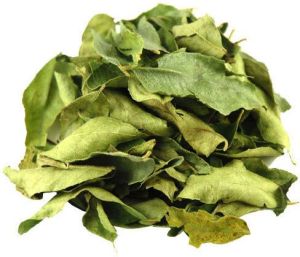 dry curry leaves