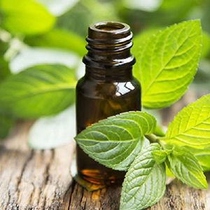 Mint Oil