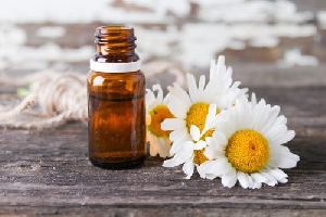 Roman Chamomile Oil