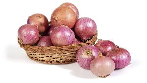 Onion