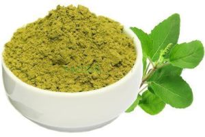 Basil Leaf Powder