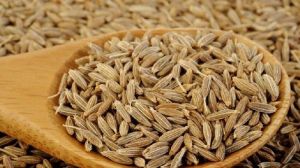 Cumin Seeds