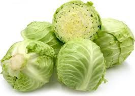 Fresh Cabbage