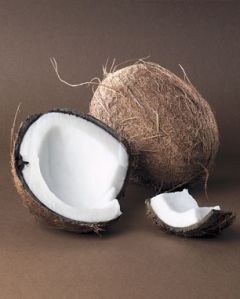 Fresh Coconut