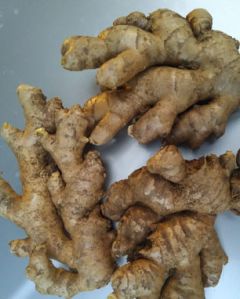 Himachil Unwashed Ginger