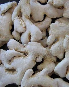 Washed Dry Ginger