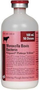 Moraxella Bovis Bacterin Vaccine