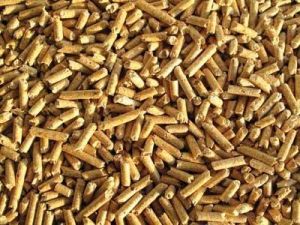 Biomass Pellet