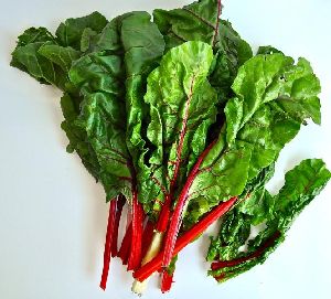 Fresh Chard Leaves