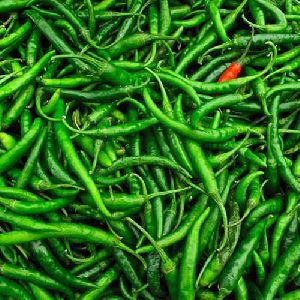 Fresh Green Chilli