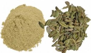 Fennel Powder