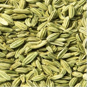 Fennel Seeds