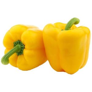 Yellow Capsicum