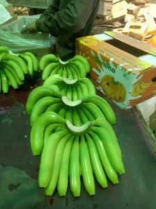 Fresh Bananas