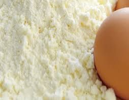 white egg powder