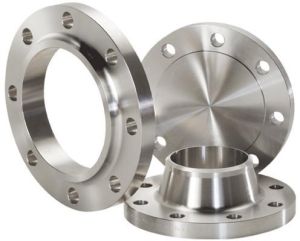 Ss Flanges