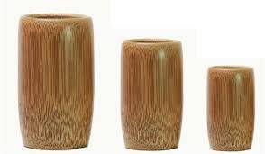 Bamboo Glass