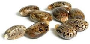 Organic Castor Oil