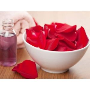Rose Absolute Fragrances perfume