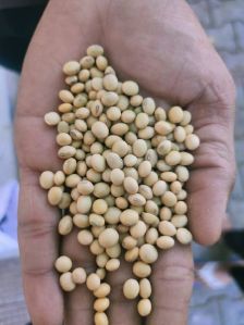 Soya bean food grade 9560