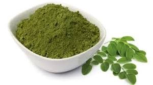 Moringa oleifera Leaves Powder