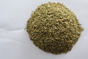 barik fennel seed