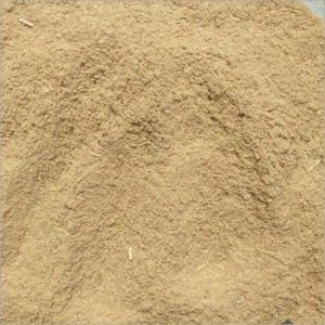 Rice Bran