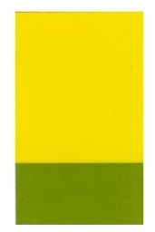Gafast Yellow 4011 Pigment