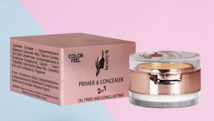 Color Feel Primer with Concealer