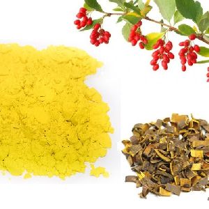 BERBERINE HCL